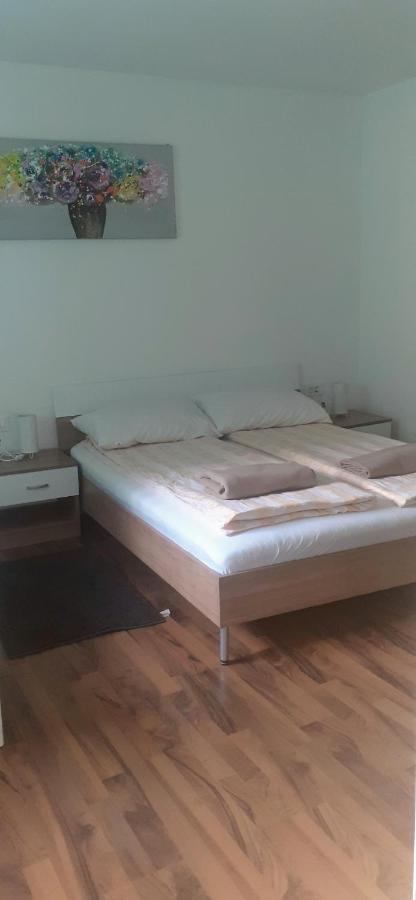 Apartman Sara Vl. Franjo Klasic คาปรินา ภายนอก รูปภาพ