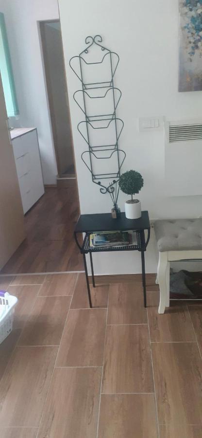Apartman Sara Vl. Franjo Klasic คาปรินา ภายนอก รูปภาพ