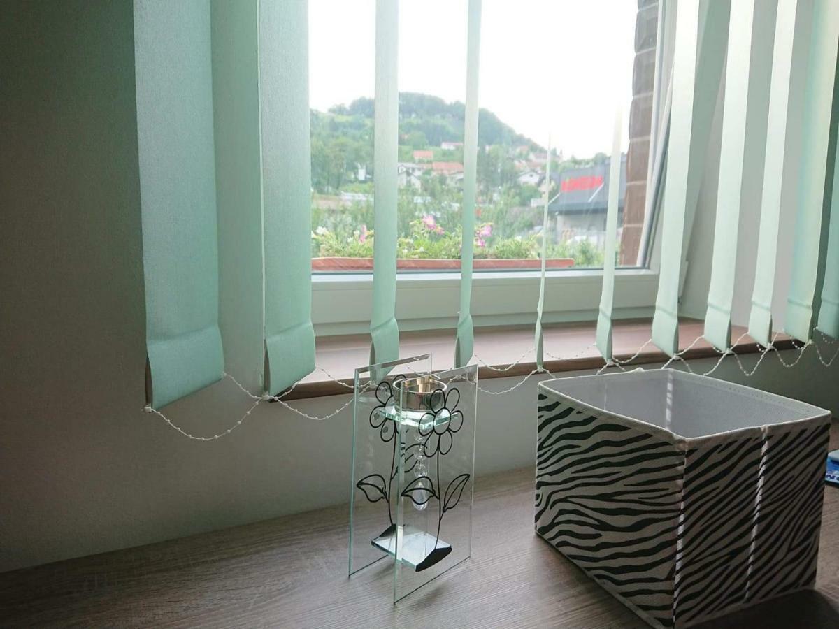 Apartman Sara Vl. Franjo Klasic คาปรินา ภายนอก รูปภาพ